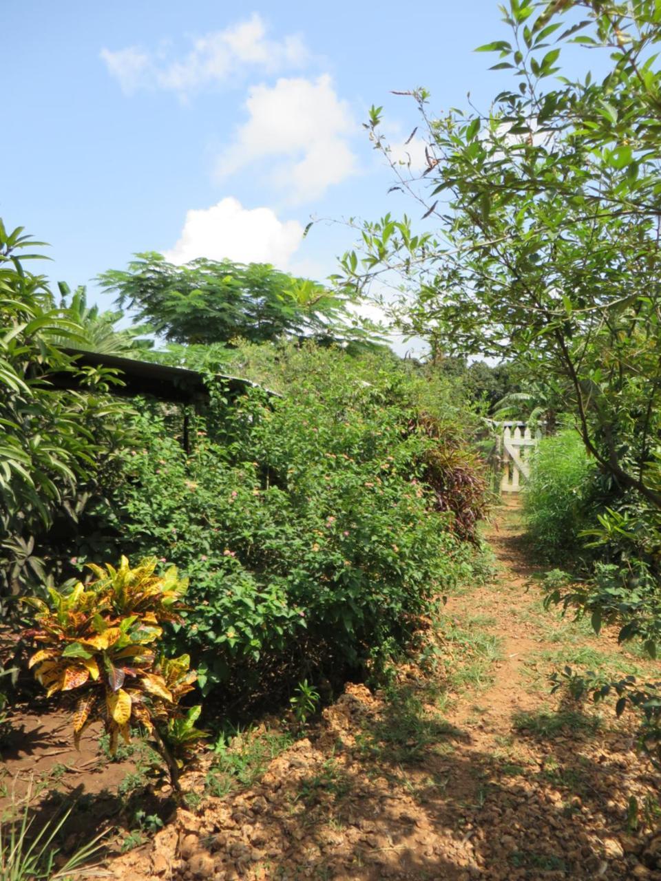 Bahati Diani House Glamping Diani Beach Exterior photo